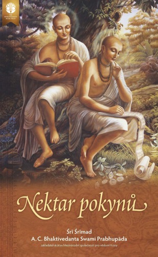Nektar pokynů, Ebook, ebook cover