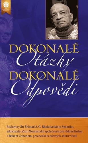 Dokonalé otázky, dokonalé odpovědi, Ebook, ebook cover