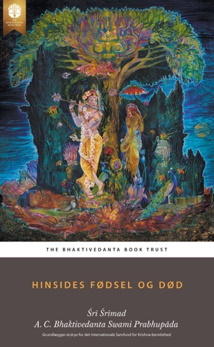 Hinsides fødsel og død, Ebook, ebook cover