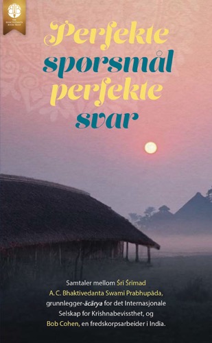 Perfekte spørsmål, perfekte svar, Ebook, ebook cover