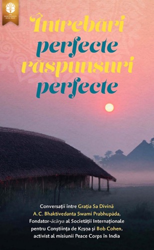 Întrebări perfecte, răspunsuri perfecte, Ebook, ebook cover
