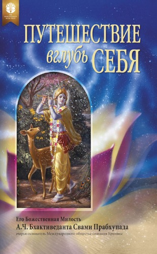 Путешествие вглубь себя ebook cover