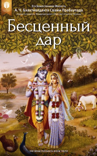 Бесценный дар, Ebook, ebook cover