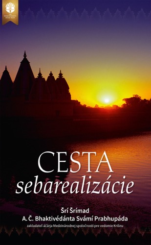 Cesta sebarealizácie, Ebook, ebook cover