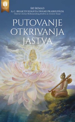 Putovanje otkrivanja jastva, Ebook, ebook cover