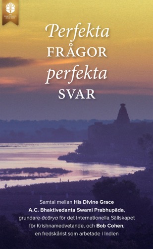 Perfekta frågor, perfekta svar, Ebook, ebook cover